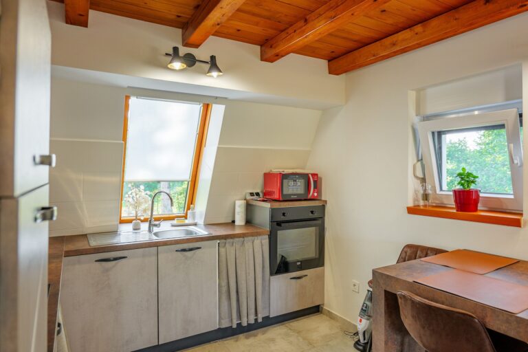 Šumska Vila kuća za odmor_37